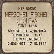 180px-Stolperstein_für_Herschel_Fischel_Choleva_(Kopenhagen)