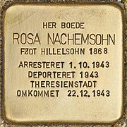 180px-Stolperstein_für_Rosa_Nachemsohn_(Kopenhagen)