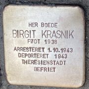 Birgit Krasnik snublesten
