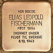 Stolperstein_für_Elias_Leopold_Fischermann_(Kopenhagen) (1)