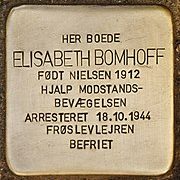 Stolperstein_für_Elisabeth_Bomhoff_(Kongens_Lyngby)
