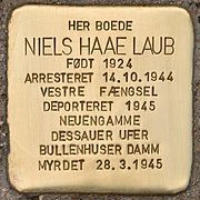 Stolperstein_für_Niels_Haae_Laub_(Gentofte) (1)
