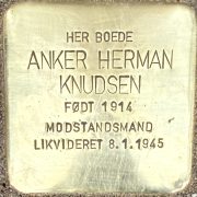 anker knudsen snublesten