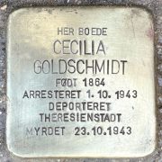 cecilia goldschmidt snublesten
