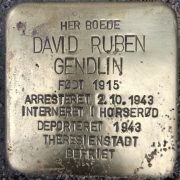 david gendlin snublesten
