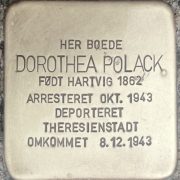 dorothea polack snublesten