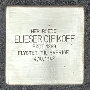elieser cipikoff snublesten