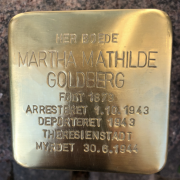 Martha Goldberg, snublesten