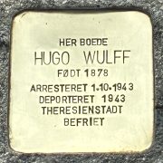 hugo wulff snublesten