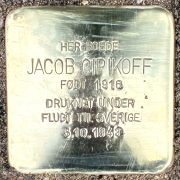 jacob cipikoff snublesten
