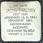 jacob thalmay snublesten