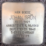 Johan Grün, snublesten