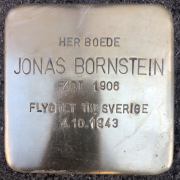 Jonas Bornstein, snublesten