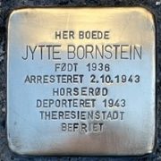 jytte bornstein snublesten