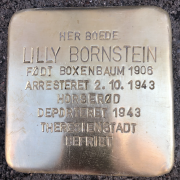 Lilly Bornstein, snublesten