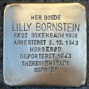 lilly bornstein snublesten
