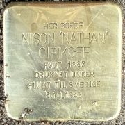 nathan cipikoff snublesten