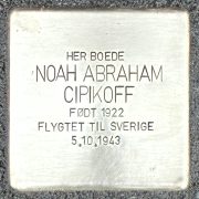 noah cipikoff