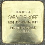 sara cipikoff snublesten