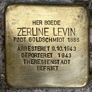 zerline levin pudset